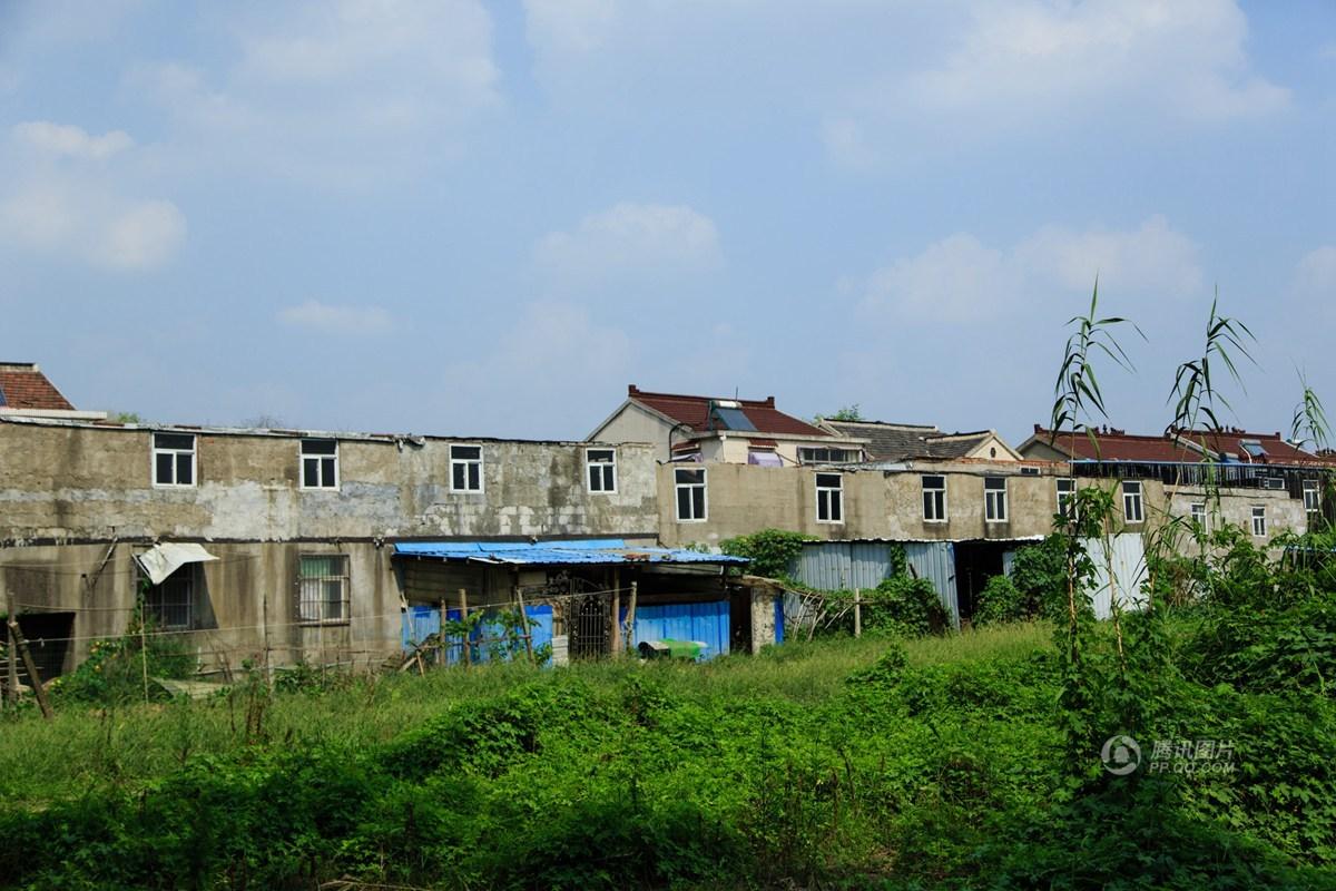 南京江心洲要建生态科技岛 村民为多拿拆迁补偿村庄大建“楼叠楼”